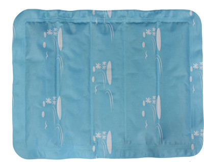 

TCI Star Health Products CSP01 Cold Pack(Blue)
