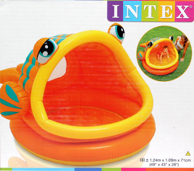 

Intex Lady Fish Baby Pool Inflatable Pool(Multicolor)