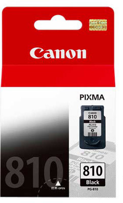 

Canon PG 810 Ink Cartridge(Black)