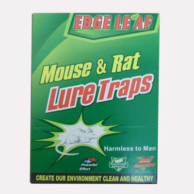 

Rudham Mouse And Rat Lure Trap Set Of 4(Pack of 4)