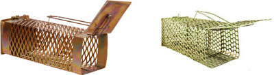 Sahaya Set of 2 Metallic Mouse Trap for Capturing live rat/ mouse/ rodent(Pack of 2)