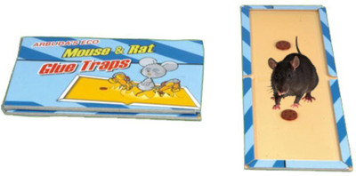 

Arbuda Eco Size Glue Traps(Pack of 5)