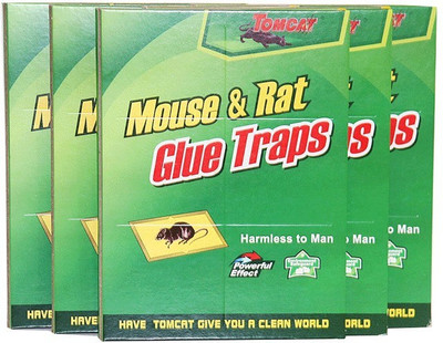 

eSnap Mouse Insect Rodent Lizard Trap Rat Catcher Adhesive Sticky Glue Pad - Non Poisonous(Pack of 5)