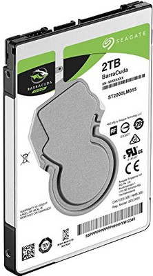 

Seagate BarraCuda 2 TB Network Attached Storage, Laptop, All in One PC's Internal Hard Disk Drive (ST2000LM015)