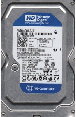 

WD Caviar 160 GB Desktop Internal Hard Disk Drive (WD1600AAJS)