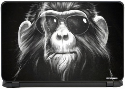 

Jack Parrot Nzs Sticker 01034 Vinyl Laptop Decal 14