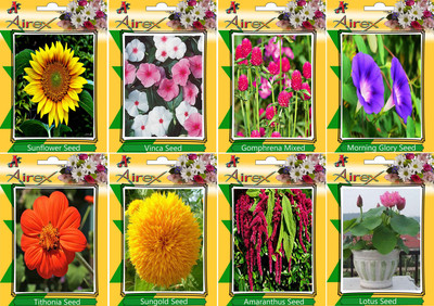 

Airex Sunflower, Vinca, Gomphrena Mixed, Morning Glory, Tithonia, Sungold, Amaranthus, and Lotus Seed(15 per packet)