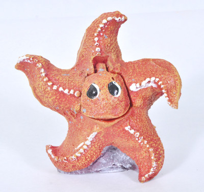 

Aquapetzworld Star Fish Action Toy Marble Planted Substrate(Multicolor)