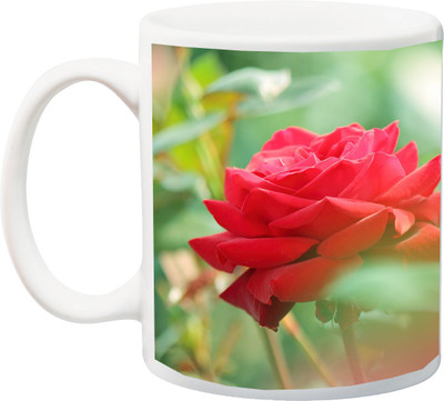 

ME&YOU Gift for Husband/Wife/Boyfriend/Girlfriend/Couple On Valentine's Day Rose Red 3D Printed Ceramic Mug(325 ml), Multicolor