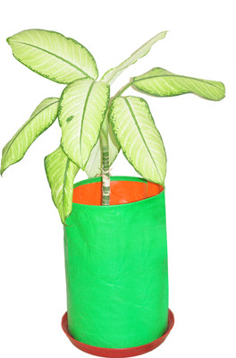 

Gro Smart Plant Container(Plastic, External Height - 18 cm, 18 cm), Green;orange