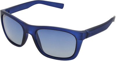 

Forty Hands Wayfarer Sunglasses(Blue
