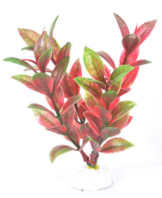 

Royalpet Aquarium Plant Gravel Unplanted Substrate(Green, Red)