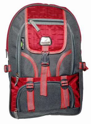 

Aviator Backpack 25 L Backpack(Grey, Red)