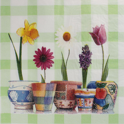 

Tootpado 1l001436 Matte Finish Decoupage Medium(20, Pack of 20)