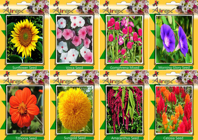 

Airex Sunflower, Vinca, Gomphrena Mixed, Morning Glory, Tithonia, Sungold, Amaranthus, and Celosia Seed(15 per packet)