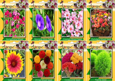 

Airex Gomphrena Mixed, Morning Glory, Cosmos Mixed, Portulaca Mixed, Gaillardia, Zinnia Mixed, Cockscomb, and Kochia Seed(15 per packet)