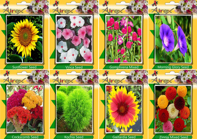 

Airex Sunflower, Vinca, Gomphrena Mixed, Morning Glory, Cockscomb, Kochia, Gaillardia, and Zinnia Mixed Seed(20 per packet)