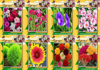 

Airex Vinca, Gomphrena Mixed, Morning Glory, Cosmos Mixed, Kochia, Gaillardia, Zinnia Mixed, and Cockscomb Seed(15 per packet)