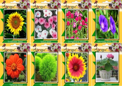 Airex Sunflower, Vinca, Gomphrena Mixed, Morning Gory, Tithonia, Kochia, Gaillardia, and Lotus Seed(20 per packet)