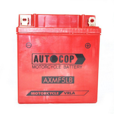 

Autocop AXMF5LB 5 Ah Battery for Bike