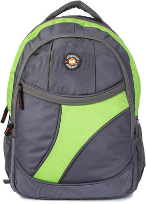 

Alligator ALBP4005GREY GREEN 28 L Backpack(Grey, Green)