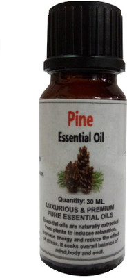 

Gardens Of Aroma Pine Luxurious and Premium Essential Oil(30 ml)