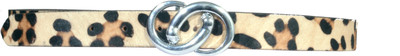 

VB Armour Girls Yellow, Black Genuine Leather Belt, Black;yellow