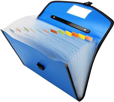 

TRANBO Polypropylene Full Expanding A4 Document Organizer with 13 Pockets, Handle, Index Tab(Set Of 1, Blue)