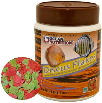 

Ocean Nutrition Discuss Flakes Fish 34 g Dry Fish Food