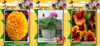 Airex Marigold, Lotus, and Gaillardia Seed(20 per packet)