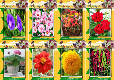 

Airex Morning Glory, Cosmos Mixed, Portulaca Mixed, Balsam, Lotus, Tithonia, Sungold, and Amaranthus Seed(20 per packet)