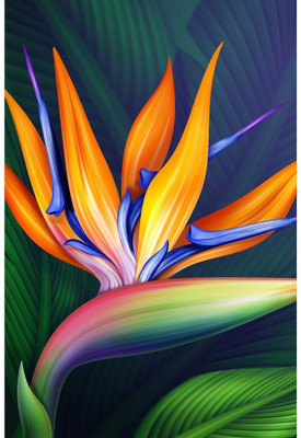 

Wall Décor Poster Paper Print(26 inch X 14 inch, Rolled)