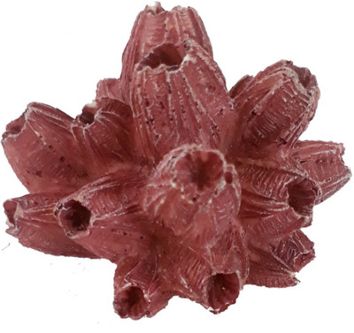 

SRI Artifical Barnacle Coral Aquarium Decoration Ornament For Fish Tank Laterite Unplanted Substrate(Pink)