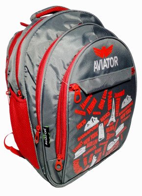 

Aviator Collage bag 30 L Backpack(Grey)