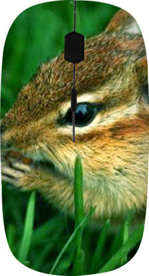 

ROBMOB High Quality RBMB-305 Wireless Optical Mouse(USB, Multicolor)