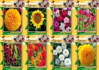 Airex Marigold, Sunflower, Vinca, Gomphrena Mixed, Amaranthus, Celosia, White Zinnia, and Sungold Seed(15 per packet)