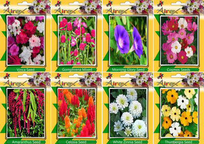 

Airex Vinca, Gomphrena Mixed, Morning Glory, Cosmos Mixed, Amaranthus, Celosia, White Zinnia, and Thunbergia Seed(25 per packet)