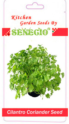 SENECIO™ Coriander Seed(50 per packet)