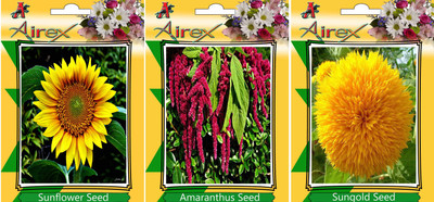 

Airex Sunflower, Amaranthus, and Sungold Seed(25 per packet)