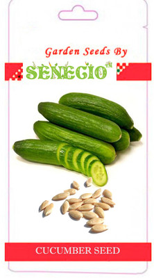 SENECIO™ Cucumber Seed(20 per packet)