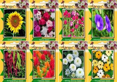 Airex Sunflower, Vinca, Gomphrena Mixed, Morning Glory, Amaranthus, Celosia, White Zinnia, and Thunbergia Seed(15 per packet)