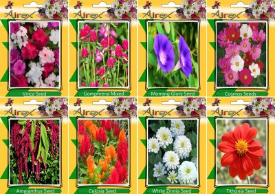 Airex Vinca, Gomphrena Mixed, Morning GLory, Cosmos Mixed, Amaranthus, Celosia, White Zinnia, and Tithonia Seed(20 per packet)