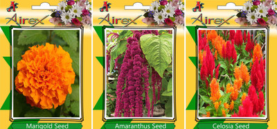 

Airex Marigold, and Celosia Seed(20 per packet)