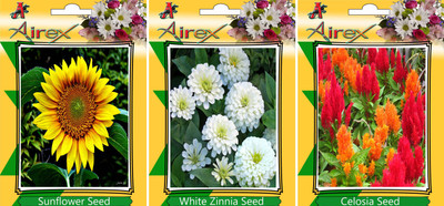 

Airex Sunflower, White Zinnia, and Celosia Seed(20 per packet)