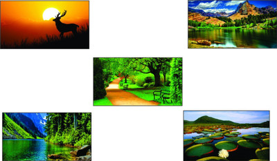 

Original Decorative Beautiful Nature Poster (Pack of 5) Paper Print(26 inch X 14 inch, Rolled)