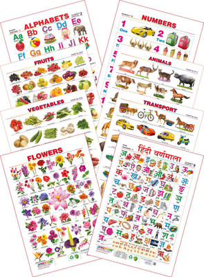 

Spectrum Kid's 1st Learning Charts [S] : Set 5 (English Alphabets, Numbers 1 to 10, Fruits, Vegetables, Animals, Transport, Flowers & Hindi Varnamala)(Multicolor)