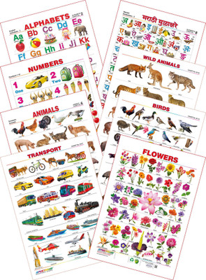 

Spectrum Kid's 1st Learning Charts [S] : Set 14 (English Alphabets, Marathi Mulakshare, Numbers 1 to 10, Wild Animals, Domestic Animals, Birds, Transport & Flowers)(Multicolor)