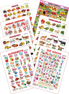 

Spectrum Kid's 1st Learning Charts [S] : Set 18 (English Alphabets, Hindi Varnamala, Farm Animals, Human Anatomy, Transport, Animals, Fruits & Vegetables)(Multicolor)