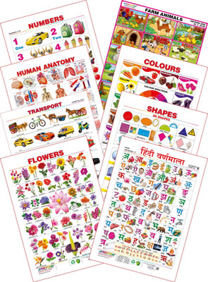 

Spectrum Kid's 1st Learning Charts [S] : Set 19 (Hindi Varnamala, Numbers 1 to 10, Farma Animals, Human Anatomy, Colours, Shapes, Transport & Flowers)(Multicolor)