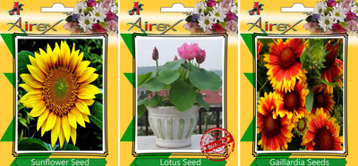 

Airex Sunflower, Lotus, and Gaillardia Seed(25 per packet)